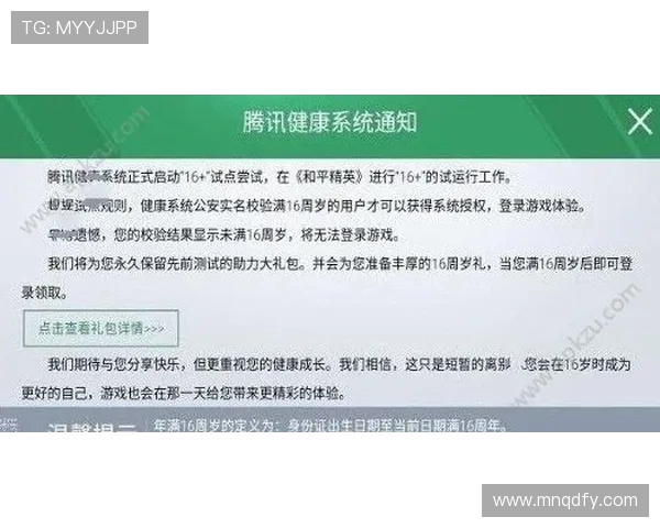 深度对话：王丽如何在和平精英中找到自我与成长的旅程
